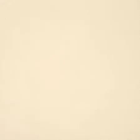 [0402701] Bianco A Reticolo 20x20